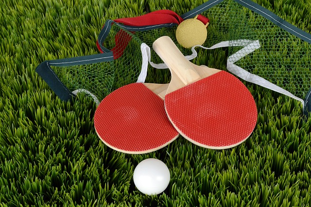 Udstyrsguide: Det bedste bat til smash i bordtennis